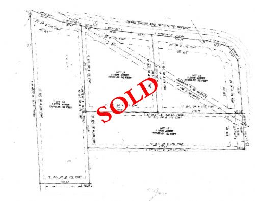 Lewis Auction
